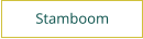 Stamboom